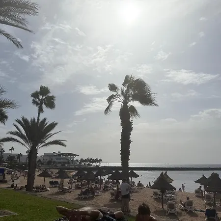 Optimist Playa De Americas *