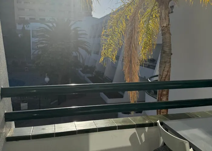 Optimist Playa De Americas *